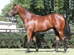 Bel Esprit x Encapsulate_06-02-2015_GEN_Lauriston Thoroughbred Farm__504