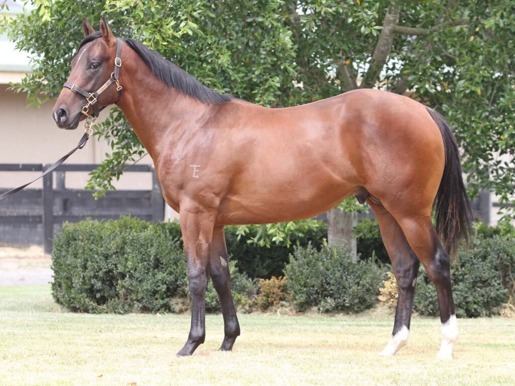 Crabbing (Pictured as a yearling)