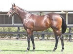 Lot 352,Domesday x Cosmic Express_05-02-2013_GEN_Lauriston__1586
