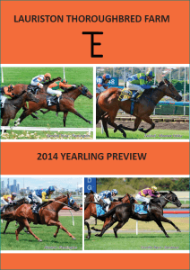 LTF 2014 Yearling Preview Booklet